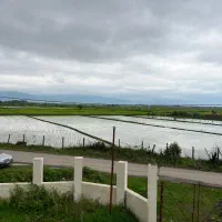 فرصت استثنایی ویلایی مدرن با چشم اندازی رویایی|فروش خانه و ویلا|تالش, جوکندان|دیوار