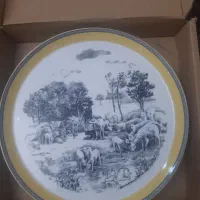 دیس های چینی بسیار زیبا و دیس ماهی نو با جعبه|ظروف سرو و پذیرایی|تهران, اباذر|دیوار