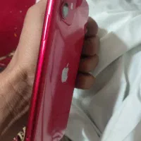 آیفون 11 نرمال|لوازم جانبی موبایل و تبلت|چابهار, |دیوار