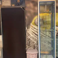 ویترین شیشه ای داخل گردان