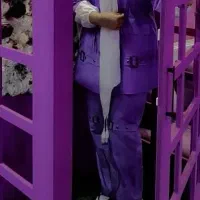 مجلسی نونو فروش فوری|لباس|مشهد, کارده|دیوار