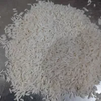 جمشید برنج|خوردنی و آشامیدنی|لاهیجان, لاشیدان|دیوار