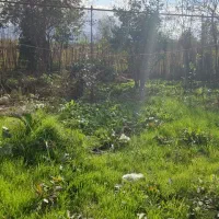 زمین ۲۰۰ متری خوش قیمت|فروش زمین و ملک کلنگی|رودبنه, |دیوار