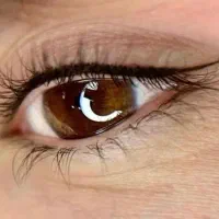 خدمات آرایش دائم، شیدینگ لب وخط چشم|خدمات آرایشگری و زیبایی|شیراز, عفیف‌آباد|دیوار