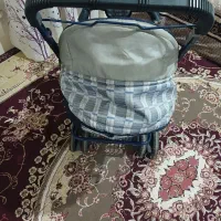 کالسگه|کالسکه و لوازم جانبی|بوئین زهرا, |دیوار