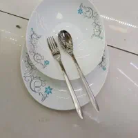 آرکوپال و چینی