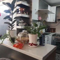 اجاره-واحد-80-متری-بلوار-هزار