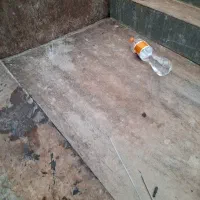 پیکان وانت مدل ۸۱ بیرنگ cng|خودرو سواری و وانت|چهارباغ, |دیوار