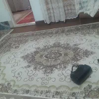 فرش|فرش|قم, شهر قائم|دیوار