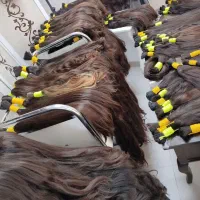 مرکز اصلی مو (صادرکننده اصلی مو)