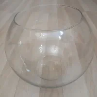 تنگ ماهی سالم ۲۵۰ تومن