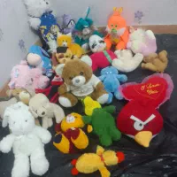 عروسک|اسباب‌بازی بچه|زنجان, |دیوار