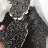 چای و زندگی|خوردنی و آشامیدنی|رشت, نامجو|دیوار