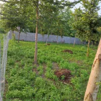 فروش-زمین-365متری