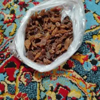 مام برایم|خوردنی و آشامیدنی|سردشت, |دیوار