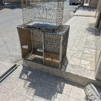 قفس مرغ و خروس