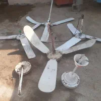 پنکه