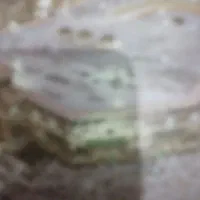 فیش حج عمره فروشی