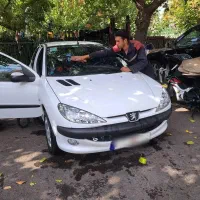 ۲۰۶ تیپ ۵ مدل ۹۶
