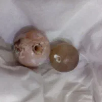 جفت مهره های قدیمی برای نظربند و رزق وروزی تضمینی