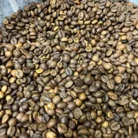 پخش44 قهوه عمده و جزئی و تجهیزات و انواع برند