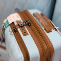 کیف کوله و چمدان|کیف، کفش، کمربند|بندر گناوه, |دیوار