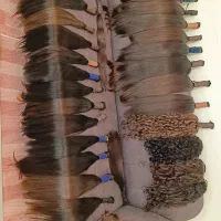 گیسوان‌خانمهای‌عزیز