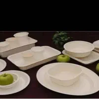 یکبار مصرف گیاهی بصورت کلی و جزئی|ظروف نگهدارنده، پلاستیکی، یک‌بارمصرف|اصفهان, خواجو|دیوار
