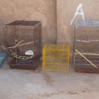 قفس پرنده|لوازم جانبی حیوانات|خوی, |دیوار