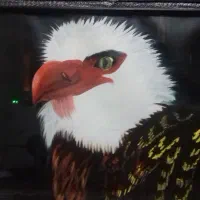 تابلوی نقاشی