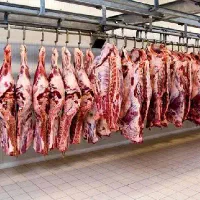 سوپر گوشت حضرت با جرات زیر قیمت کل مشهد