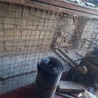 قفس مخصوص نگهداری پرندگان وحیوانات|لوازم جانبی حیوانات|شوشتر, |دیوار