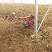 شخم زنی باغات