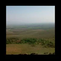 تاکستان سینک باغ وزراعی با موقعیتی بی همتا|فروش دفتر صنعتی، کشاورزی، تجاری|شال, |دیوار