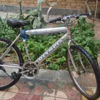 دوچرخه 28  المپیا سالم