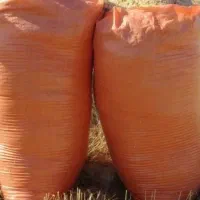 کاه علف