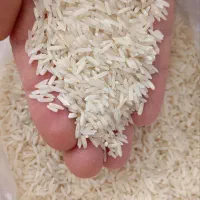 برنج طارم فجر|خوردنی و آشامیدنی|شهرکرد, |دیوار