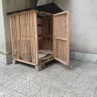 قفس چوبی|لوازم جانبی حیوانات|رشت, ساغری سازان|دیوار