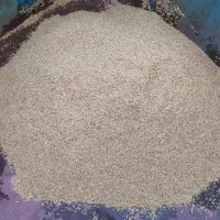 فروش گندم دیم