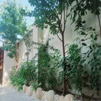 ۶۰ متر ویلایی گیلاوند گلدشت پایین