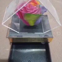 باکس هدیه|گل مصنوعی|مشهد, شهید احمدی روشن|دیوار