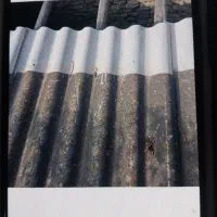 ایرانیت