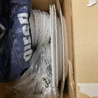 ارکوپال گل ویکتوریا اصل فرانسه