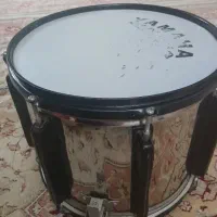 دوقول  در حد نو