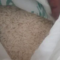 برنج نمونه درجه یک هاشمی