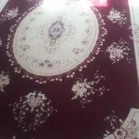 فرش سالم و تر تمیز