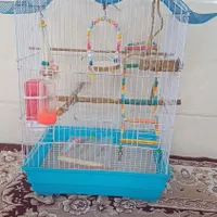 قفس وخونه پرنده|لوازم جانبی حیوانات|رشت, حومه رشت|دیوار