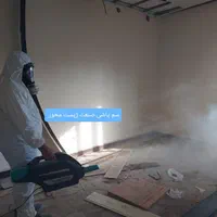 سمپاشی گیاهی سوسک کابینتی موریانه زدایی،سم پاشی|خدمات نظافت|بندر امام خمینی, |دیوار