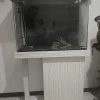 آکواریوم شیشه خم