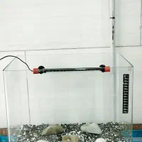 آکواریوم شیشه خم|ماهی|نسیم‌شهر, |دیوار